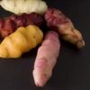 Oca Tubers -Zone Trees Store Oca 77b52da5 0da9 4664 8365 3a9e54034672