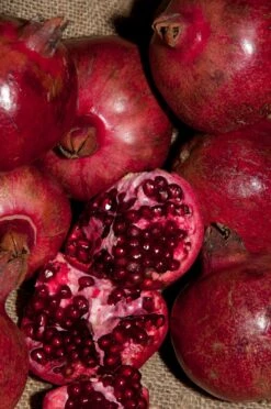 Cranberry Pomegranate