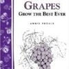 Great Grapes -Zone Trees Store httpraintreenursery.netps180