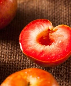 Dapple Dandy Pluot