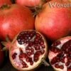 Wonderful Pomegranate -Zone Trees Store wonderful