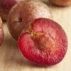 Combo Zee Sweet Pluot Tree (3 Varieties) 2 Combo Zee Sweet Pluot Tree (3 Varieties) -Zone Trees Store zee sweet pluot
